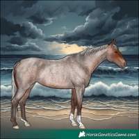 Horse Color:Silver Brown Roan Rabicano 