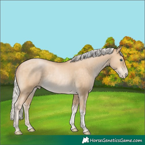 Horse Color:Silver Buckskin Pearl Tobiano Rabicano 