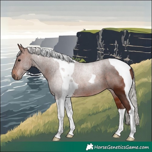 Horse Color:Silver Bay Tobiano