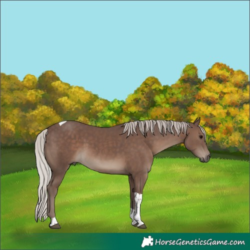 Horse Color:Silver Black Tobiano 