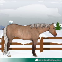 Horse Color:Silver Brown Dun Rabicano