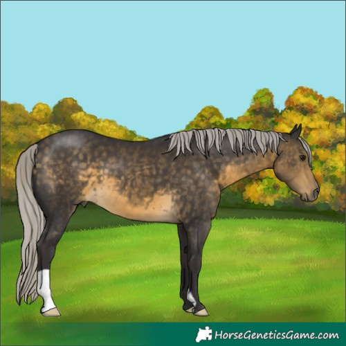 Horse Color:Silver Buckskin