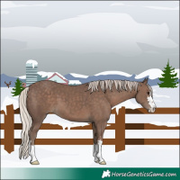 Horse Color:Silver Black 