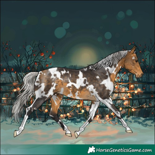 Horse Color:White Spotted Silver Buckskin 