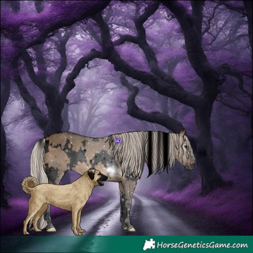 Horse Color:Gray Void White Spotted Silver Bay Dun