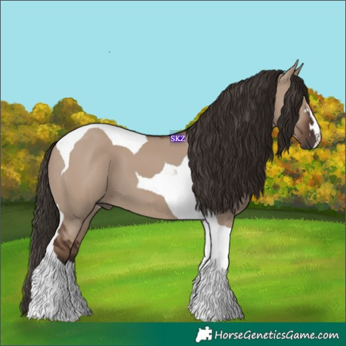 Horse Color:Liver Red Dun Tobiano 