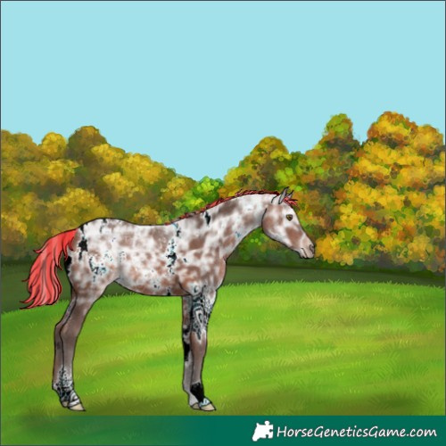 Horse Color:Painted White Spotted Silver Brown Ice 