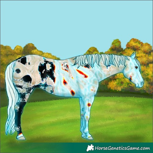 Horse Color:ERROR: UNKNOWN ANOMALY