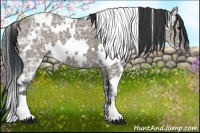 Horse Color:White Spotted Grullo Ice 