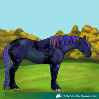 Horse Color:ERROR: UNKNOWN ANOMALY