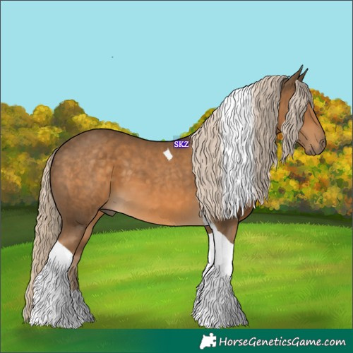 Horse Color:Chocolate Palomino Tobiano 