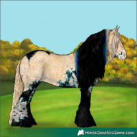 Horse Color:Plaid White Spotted Gold Cream Champagne Ice Tobiano