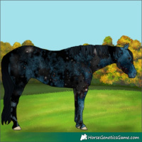 Horse Color:ERROR: UNKNOWN ANOMALY