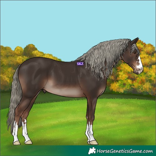 Horse Color:Liver Chestnut Mushroom 