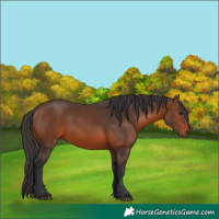 Horse Color:Brown 