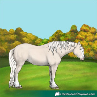 Horse Color:Cremello 