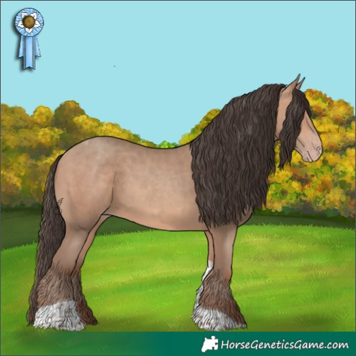 Horse Color:Amber Champagne Tobiano 