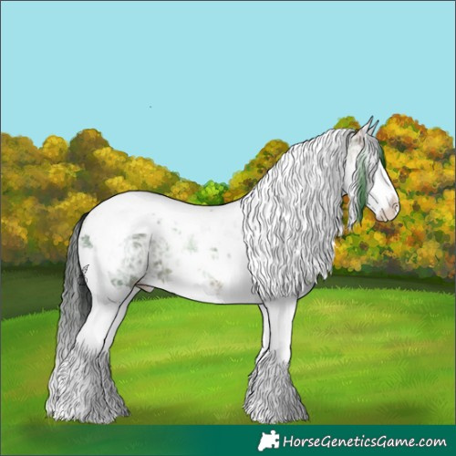 Horse Color:Sable Champagne Ice Splash Tobiano 