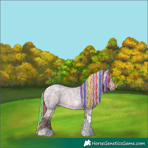 Horse Color:Painted Silver Brown Ice Roan Tobiano Rabicano 