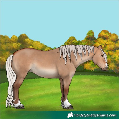 Horse Color:Silver Bay Dun 