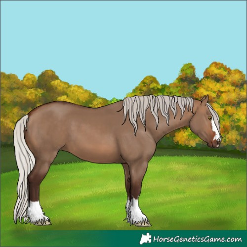 Horse Color:Silver Brown Dun 