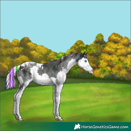 Horse Color:Painted Watercolor Midnight Silver Brown Ice Onyx Splash Tobiano