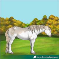 Horse Color:Buckskin Mushroom Splash Blanket 
