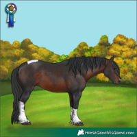 Horse Color:Brown Mushroom Tobiano