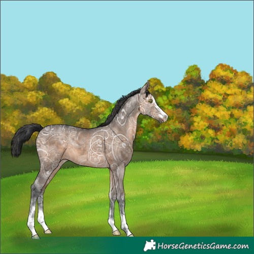 Horse Color:Brown Ice Dun 