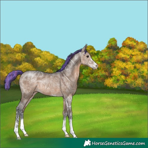 Horse Color:Painted Brown Ice Dun 