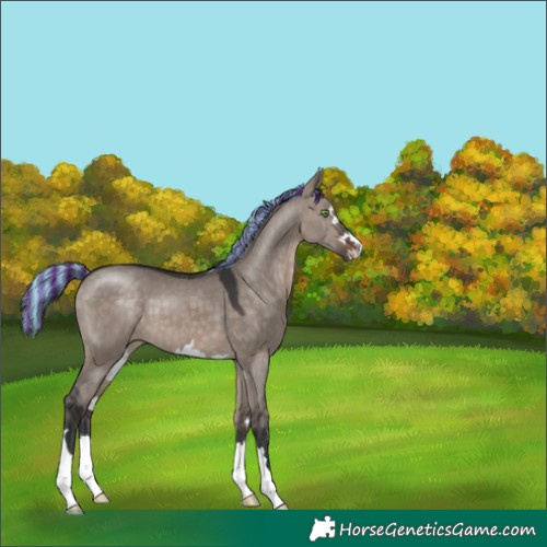 Horse Color:Painted Brown Dun Mushroom 