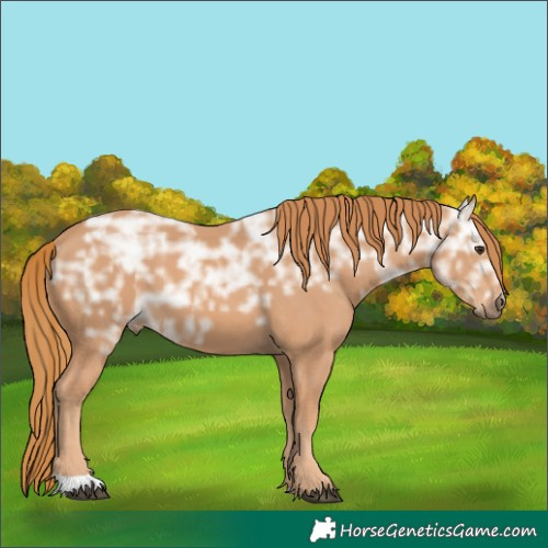 Horse Color:Chestnut Ice 