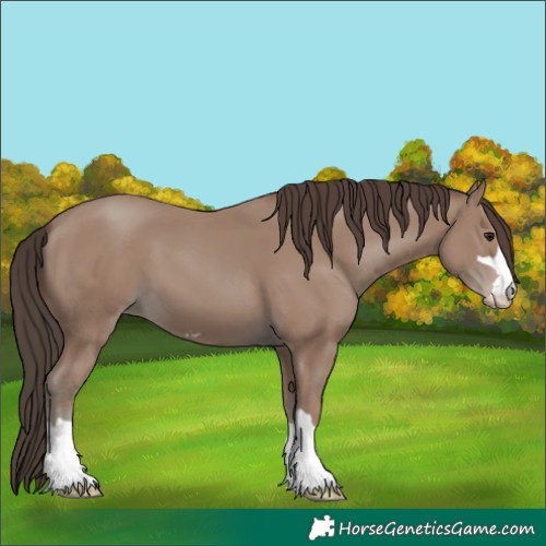 Horse Color:Classic Champagne 