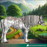 Horse Color:Grullo Sabino Splash and Silver Grullo Sabino Splash