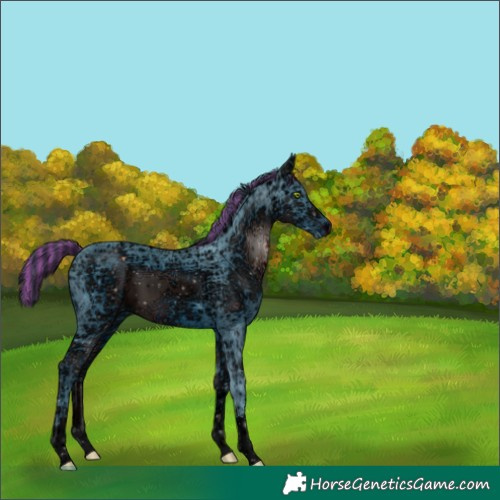 Horse Color:ERROR: UNKNOWN ANOMALY