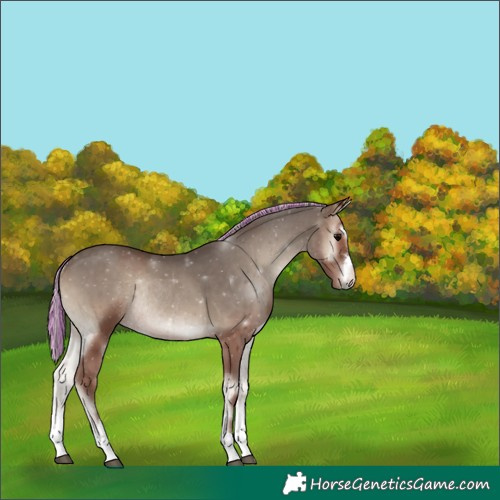 Horse Color:Painted Silver Blue Onyx Rabicano Brindle 