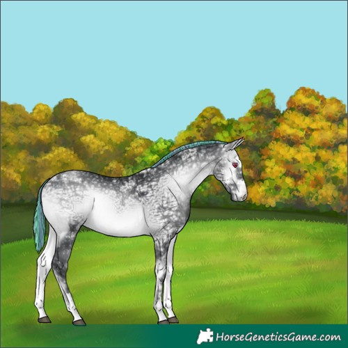 Horse Color:Painted Silver Brown Chinchilla Ice Onyx 