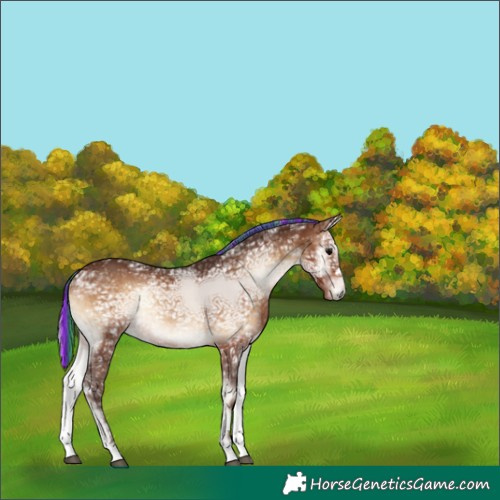 Horse Color:Painted Silver Brown Ice Onyx Brindle 
