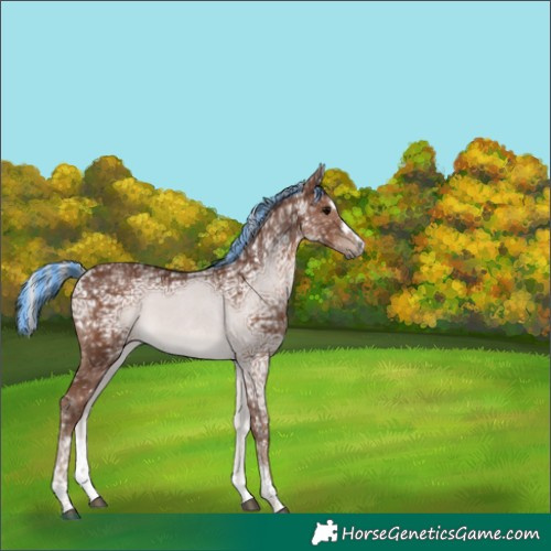 Horse Color:Painted Silver Black Ice 