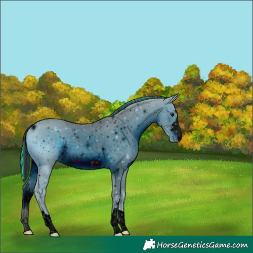 Horse Color:ERROR: UNKNOWN ANOMALY