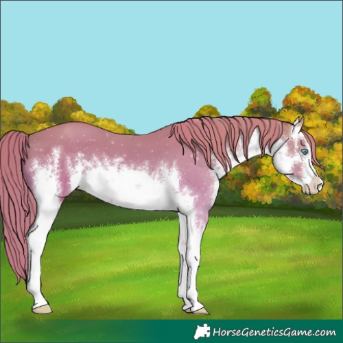 Horse Color:Watercolor White Spotted Perlino 