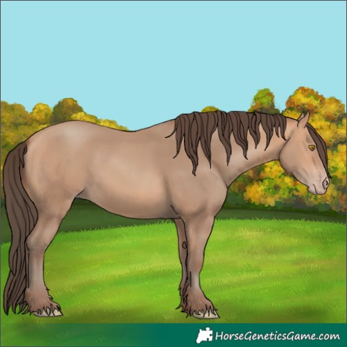 Horse Color:Amber Champagne 