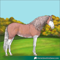 Horse Color:Watercolor Silver Black Splash