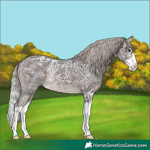 Horse Color:Silver Brown Ice Splash 