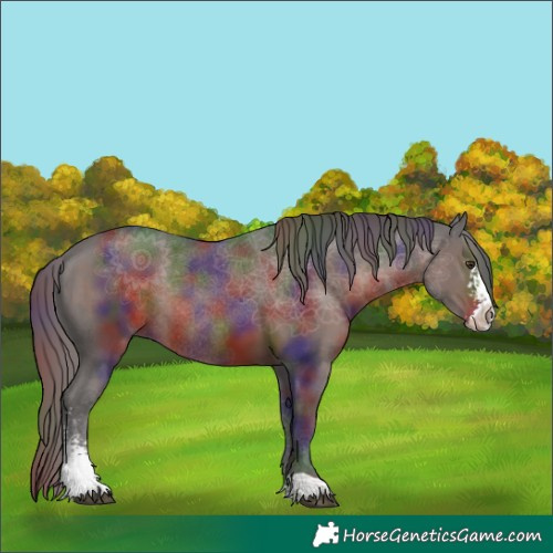 Horse Color:Nacre Liver Chestnut Sabino