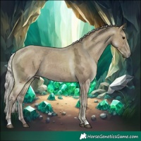 Horse Color:Silver Grullo Ice 