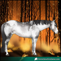 Horse Color:Platinum Buckskin Onyx Tobiano Snowcap 