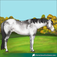 Horse Color:Platinum Buckskin Onyx Tobiano Snowcap 
