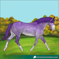 Horse Color:Watercolor Brown 