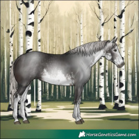 Horse Color:Gray White Spotted Silver Brown 